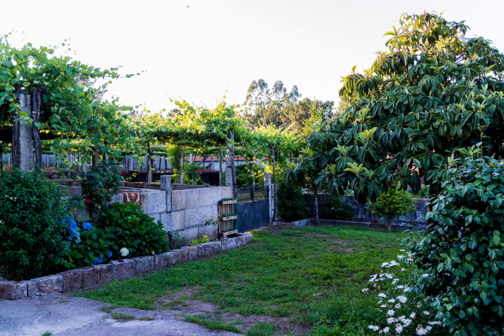Detalle de la huerta de Casa Calveiro. Alojamiento vacacional